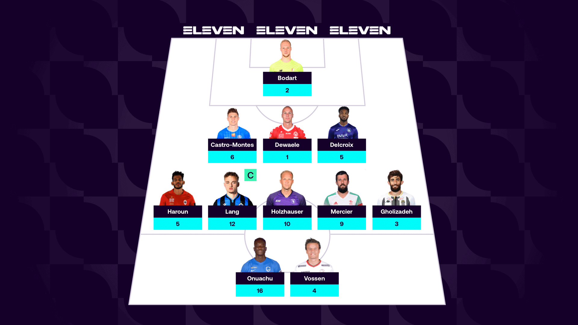 Fantasy Pro League team